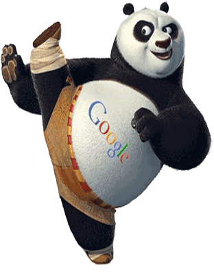Google Panda Penalty Recovery Services in Delhi, India
