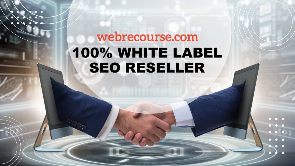 White Label SEO Reseller Services in Delhi, India