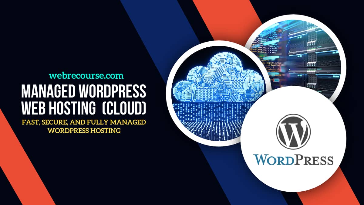 Managed WordPress Web Hosting Services In Delhi, India
